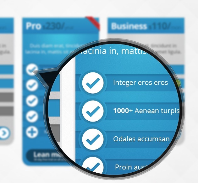 pricing table