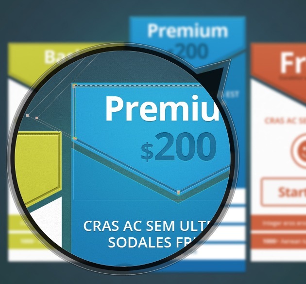 pricing table graphic