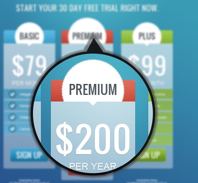 web pricing table