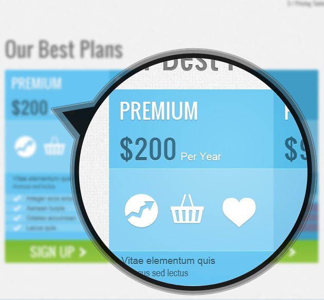 web pricing table PSD