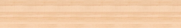 web wood grain texture Professional