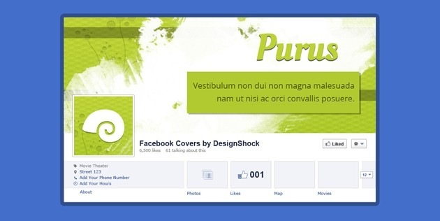 Professional fb Covers