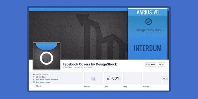 Facebook Covers company