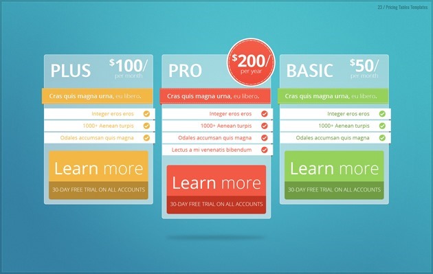 pricing table Professional