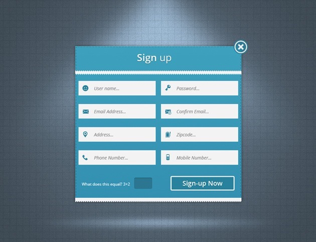 Web Sign up form