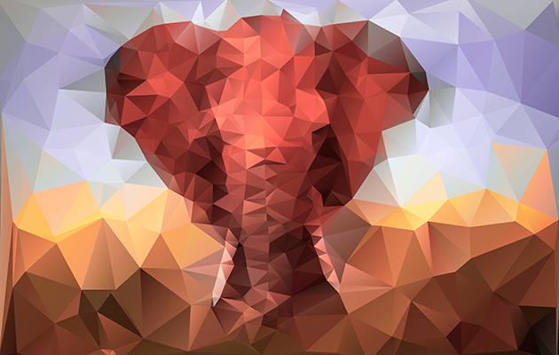 elephant3